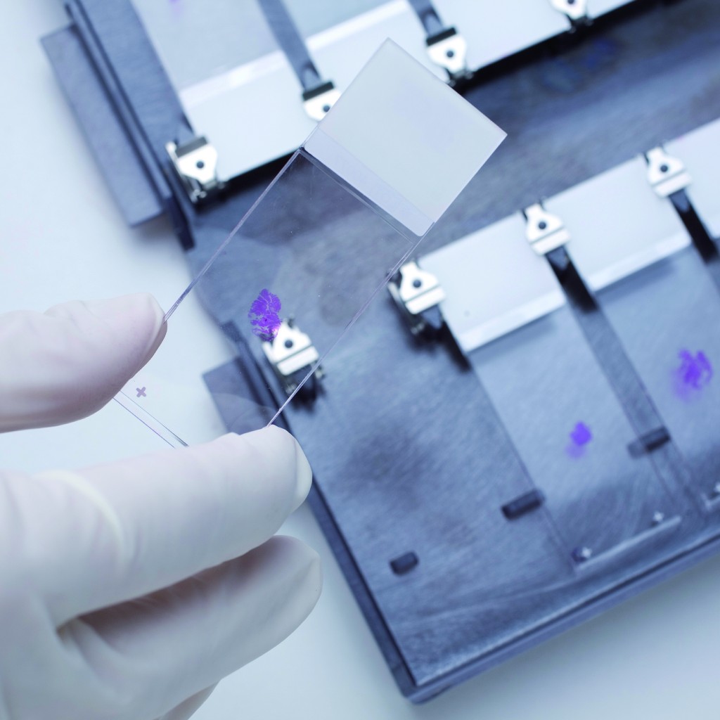 Méthodes qualitatives biologistes ACP